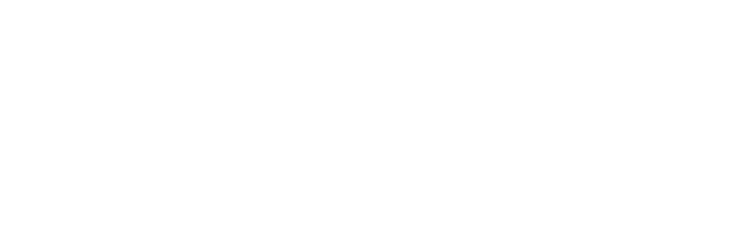 roiquant